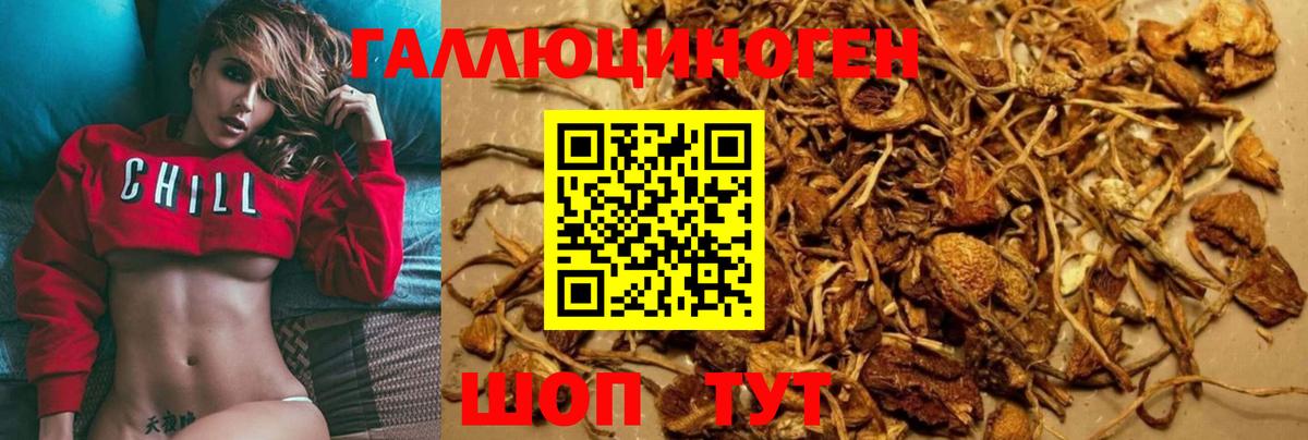 Псилоцибиновые грибы Magic Shrooms  цены   Ярославль  Вход с VPN  Галлюциногенные грибы MAGIC MUSHROOMS 